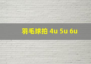 羽毛球拍 4u 5u 6u